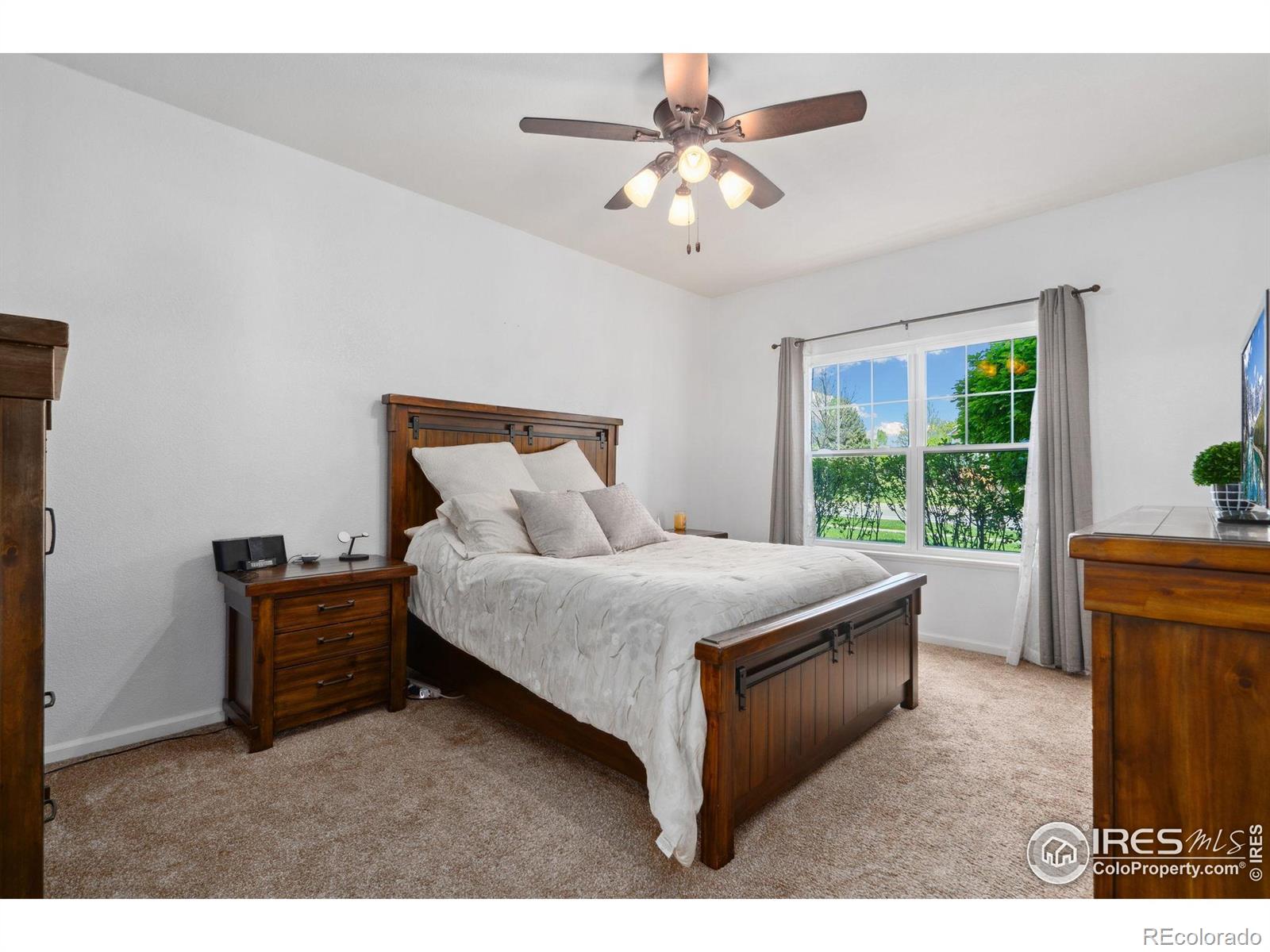 MLS Image #13 for 5225  white willow drive,fort collins, Colorado