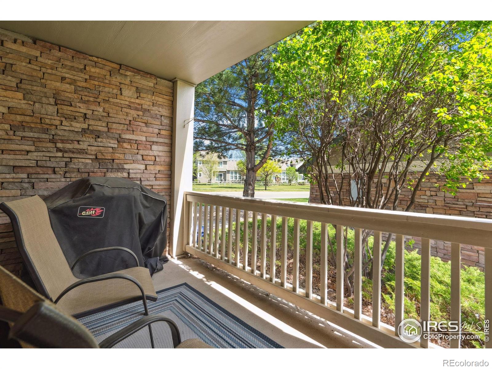 MLS Image #19 for 5225  white willow drive,fort collins, Colorado