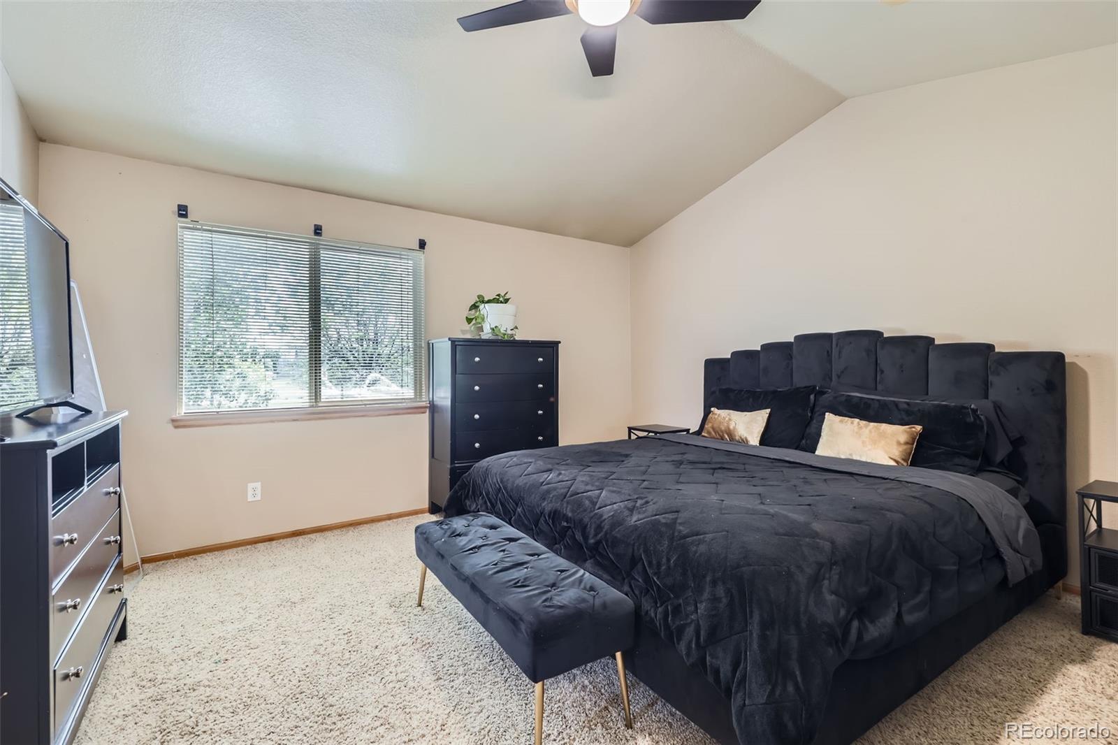 MLS Image #16 for 11218  newark court,commerce city, Colorado
