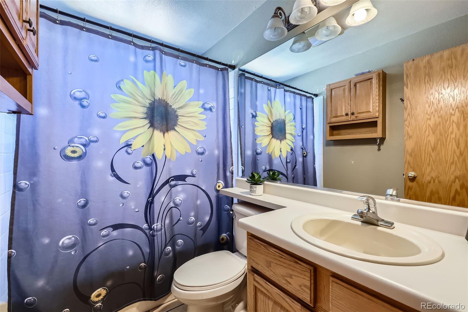 MLS Image #25 for 11218  newark court,commerce city, Colorado
