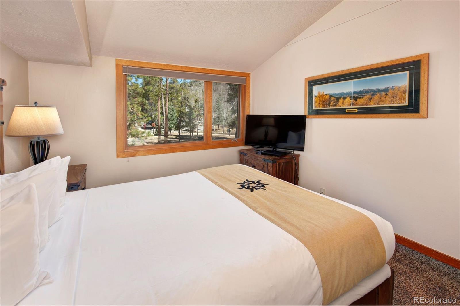 MLS Image #14 for 21660  us highway 6  2079,keystone, Colorado
