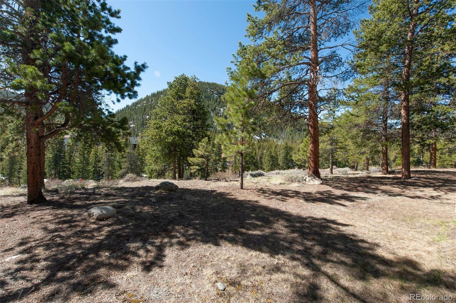 MLS Image #25 for 21660  us highway 6  2079,keystone, Colorado