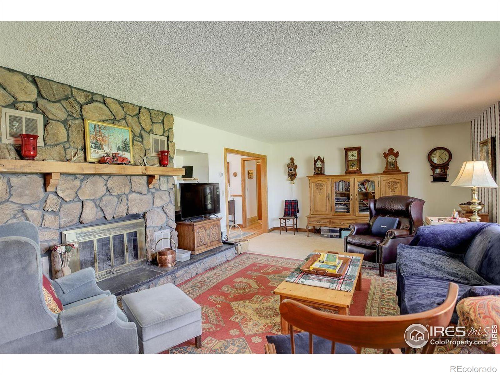 MLS Image #10 for 2219  meadow green circle,franktown, Colorado