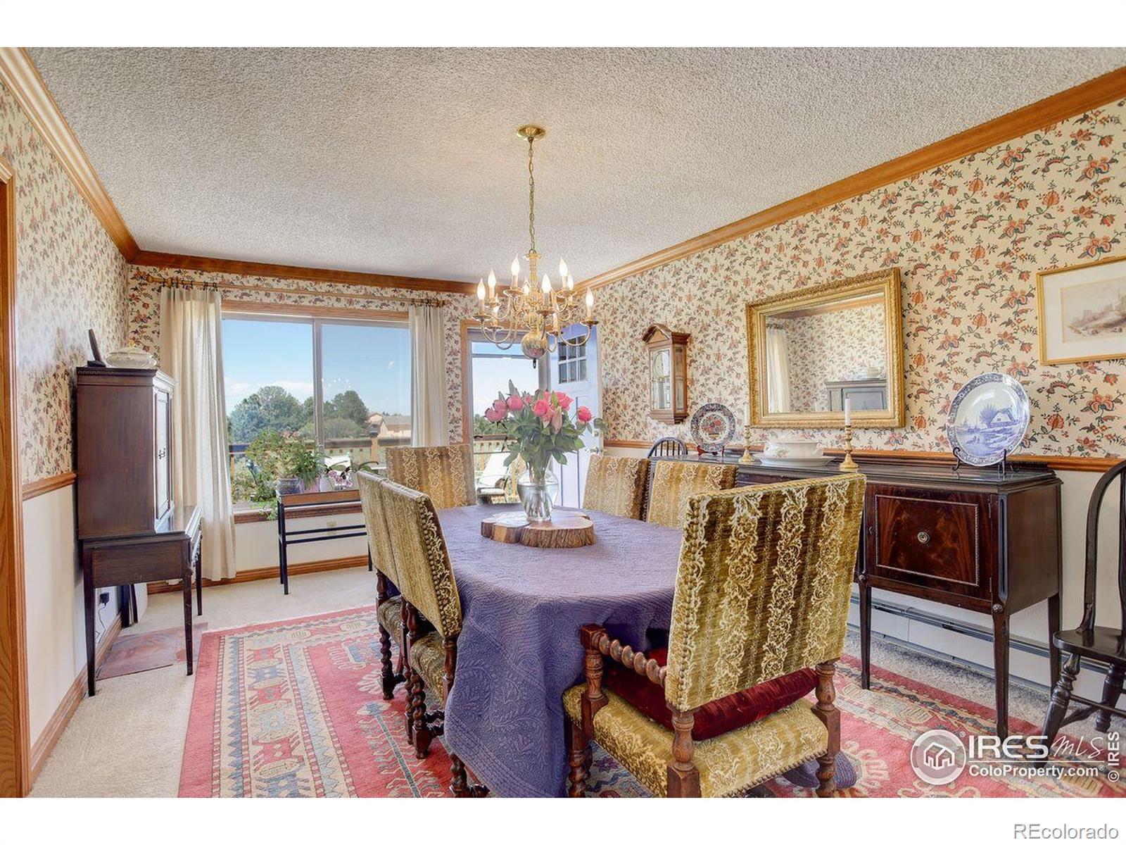 MLS Image #12 for 2219  meadow green circle,franktown, Colorado