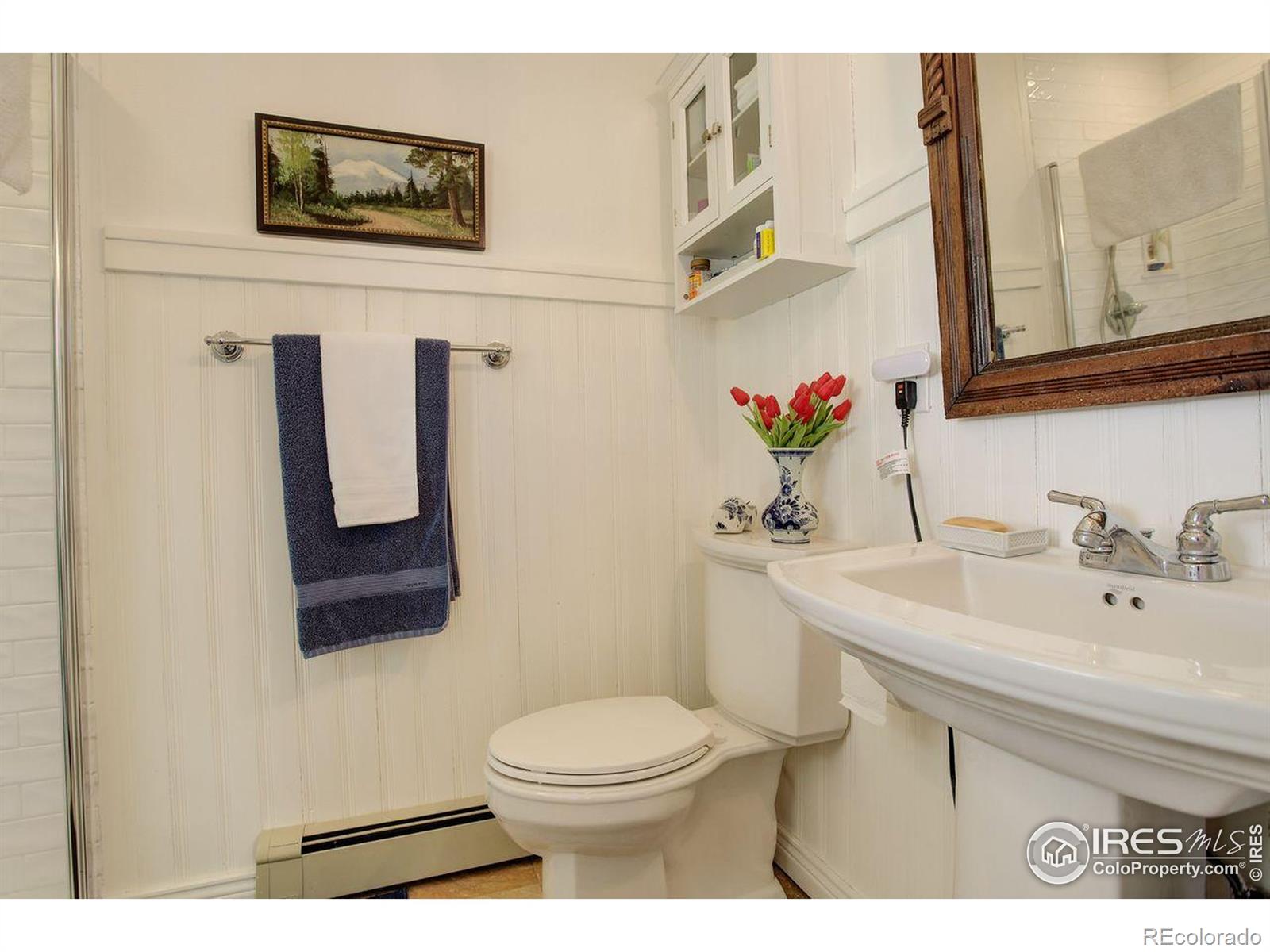 MLS Image #15 for 2219  meadow green circle,franktown, Colorado