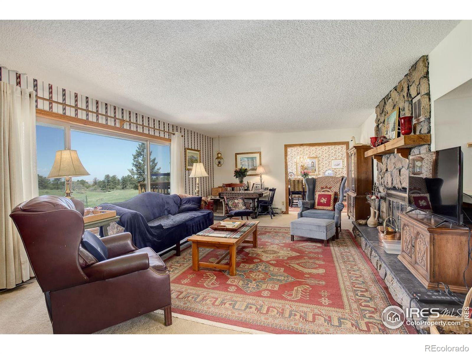 MLS Image #9 for 2219  meadow green circle,franktown, Colorado