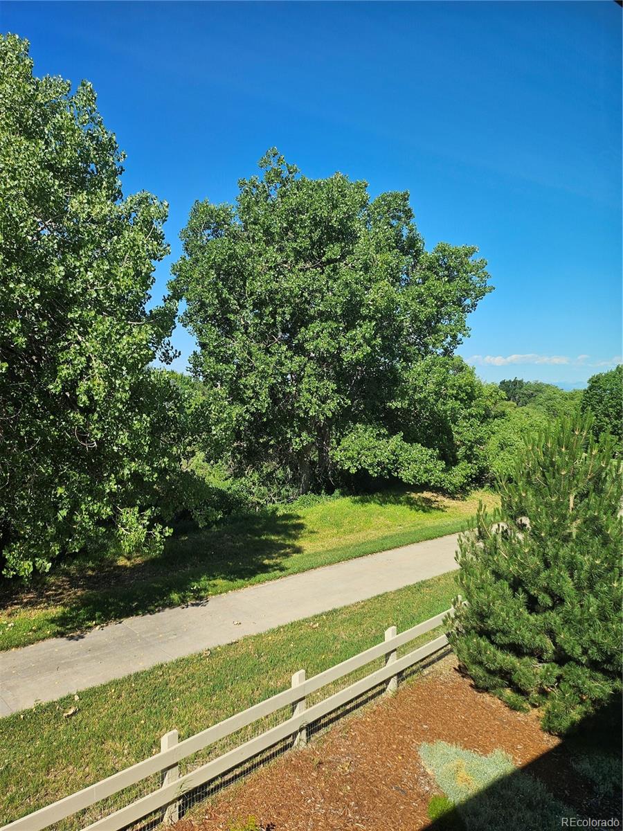 MLS Image #9 for 23014  milford lane,parker, Colorado