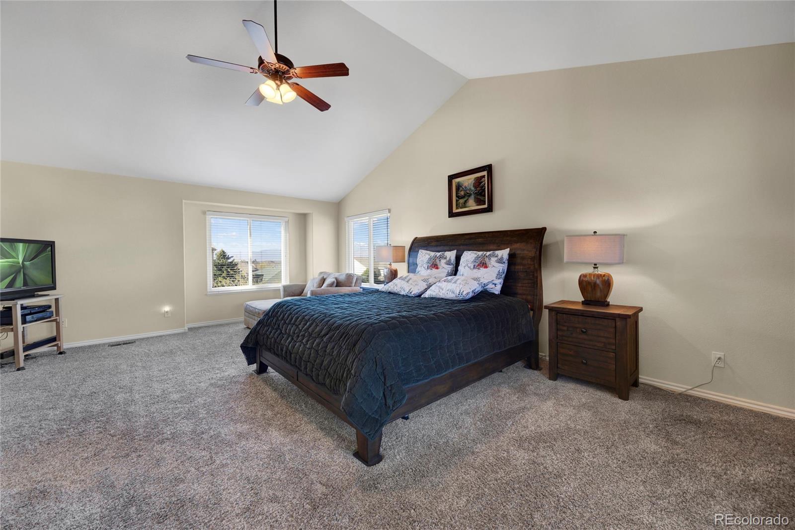 MLS Image #14 for 1350  almagre peak drive,colorado springs, Colorado