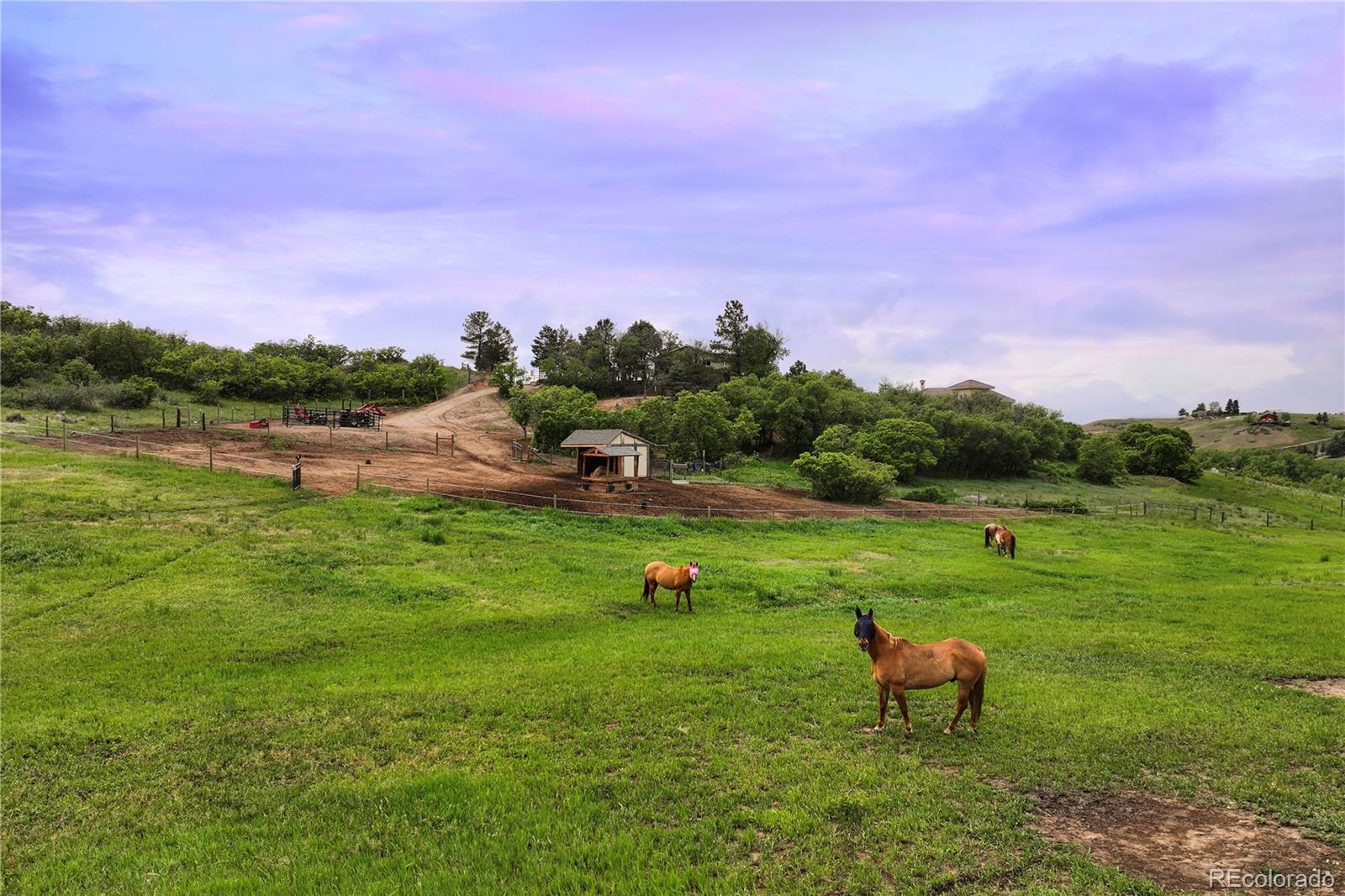 MLS Image #31 for 3850  hopi drive,sedalia, Colorado