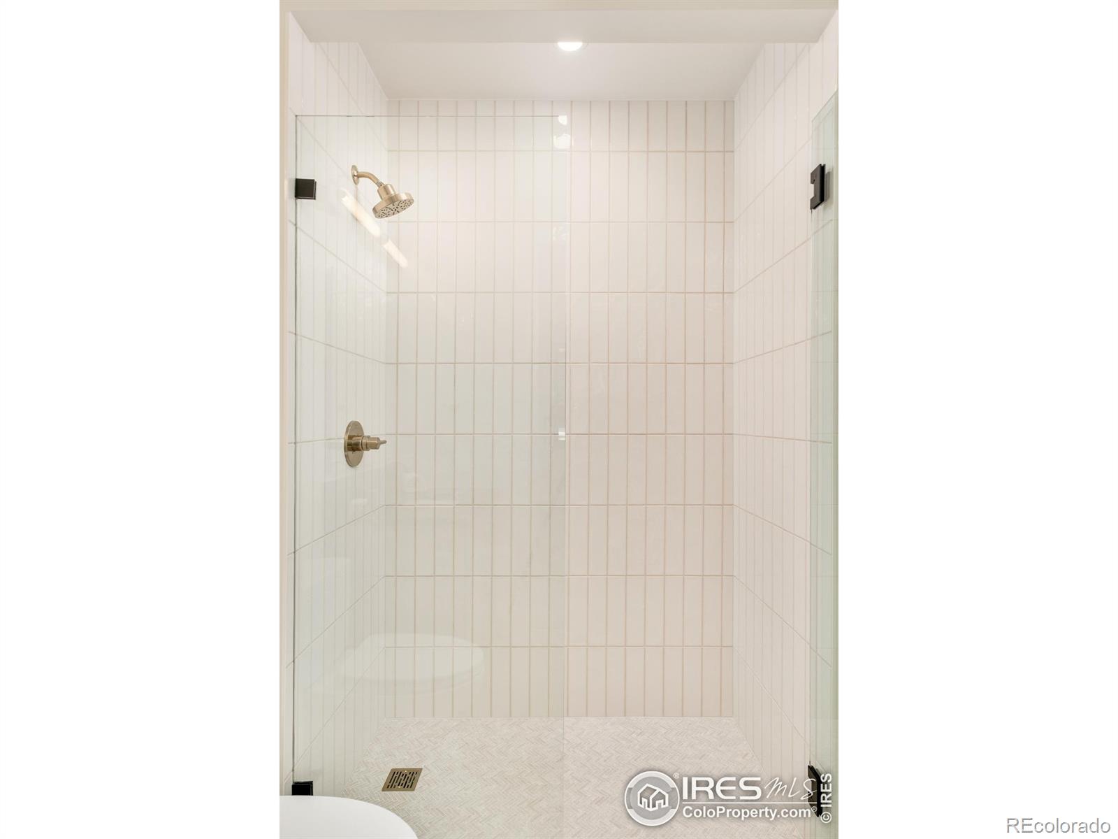 MLS Image #30 for 633  dexter street,denver, Colorado