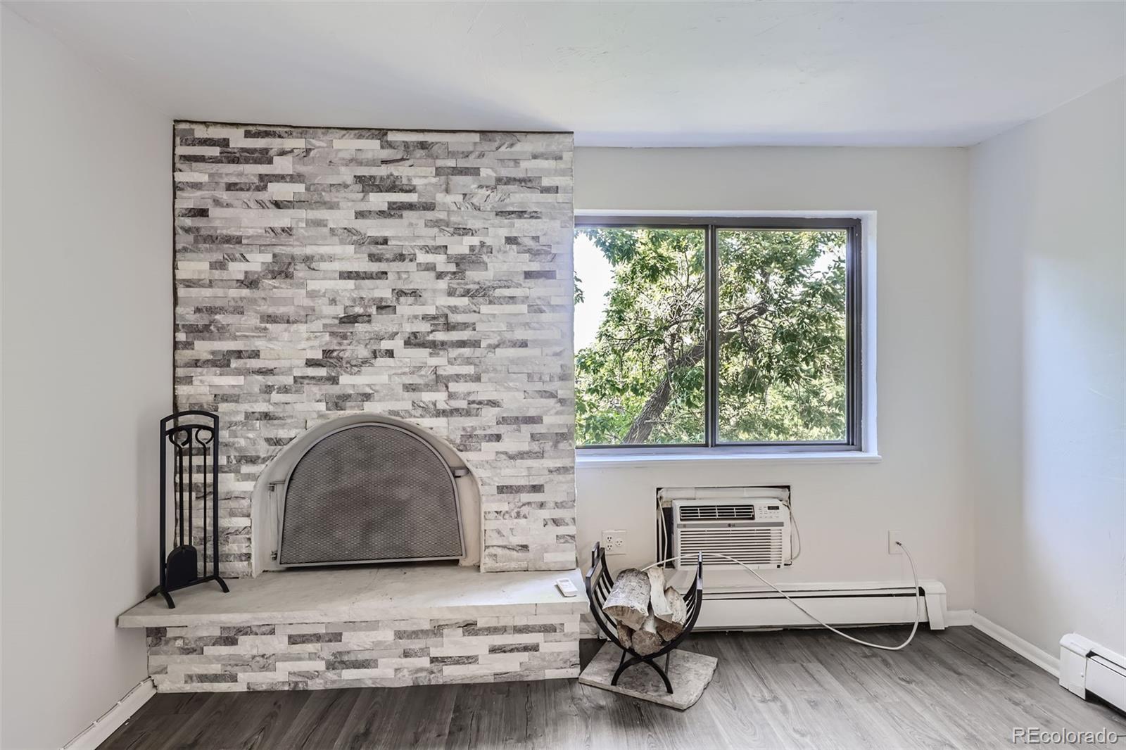 MLS Image #10 for 1008 n corona street,denver, Colorado