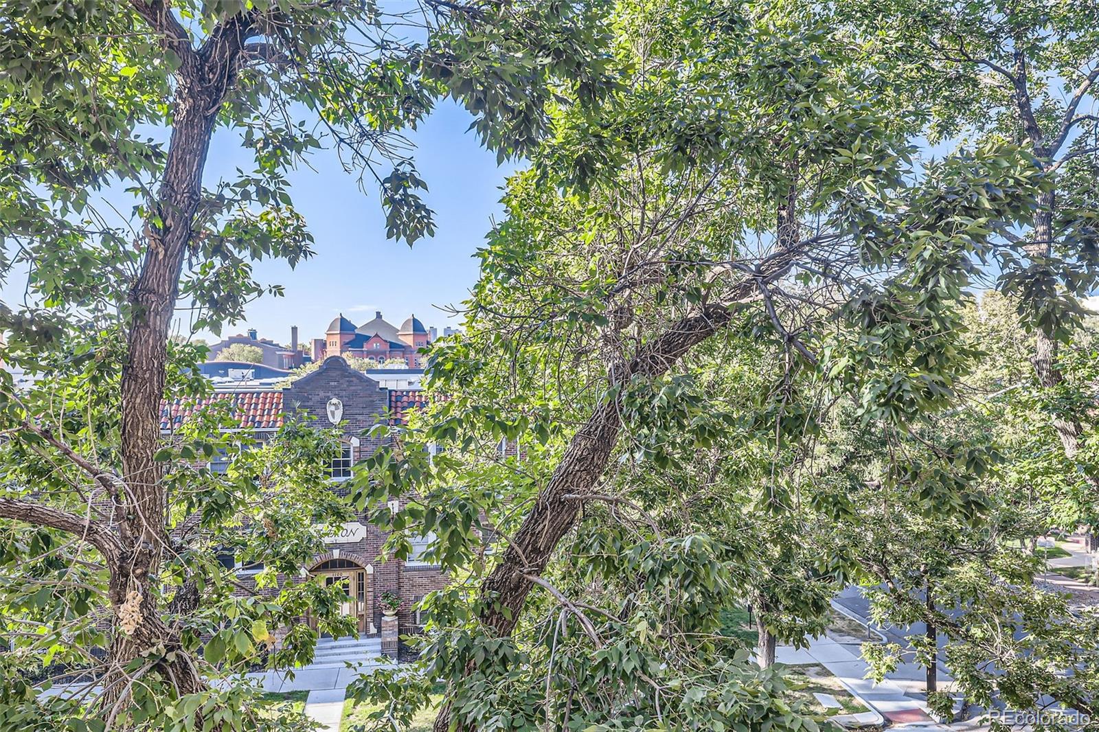 MLS Image #29 for 1008 n corona street,denver, Colorado