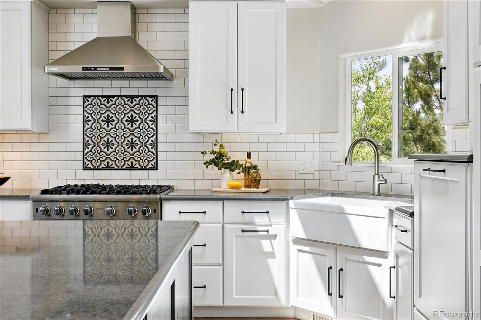 MLS Image #5 for 1361  castlepoint circle,castle pines, Colorado