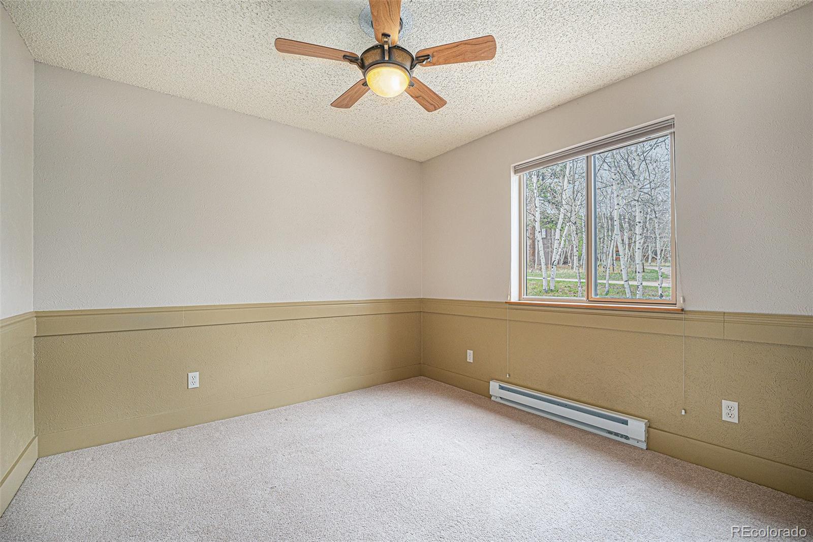 MLS Image #10 for 70  silver springs road ,bailey, Colorado