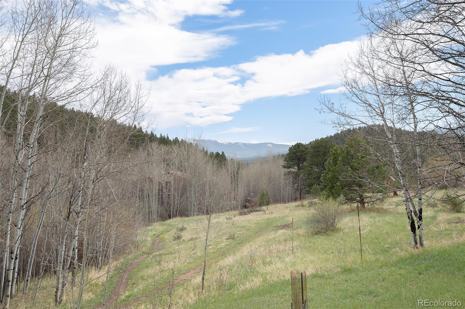 MLS Image #19 for 70  silver springs road ,bailey, Colorado