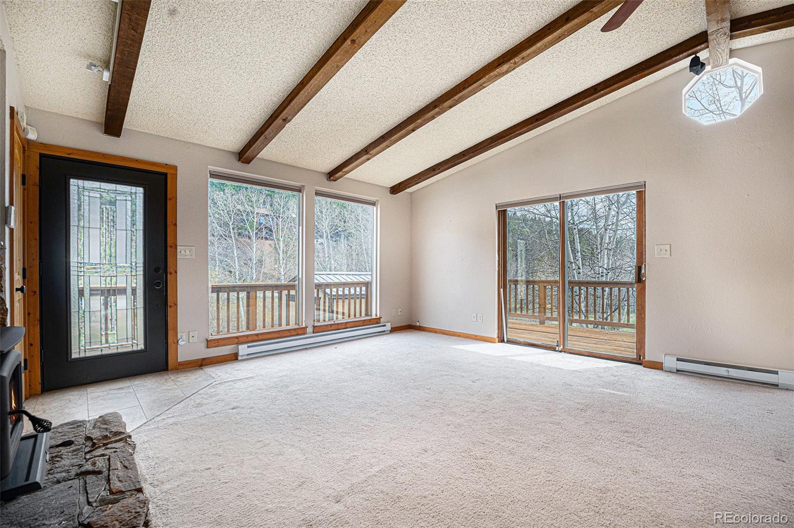 MLS Image #2 for 70  silver springs road ,bailey, Colorado