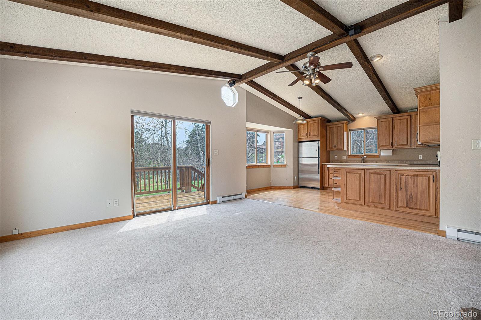 MLS Image #3 for 70  silver springs road ,bailey, Colorado