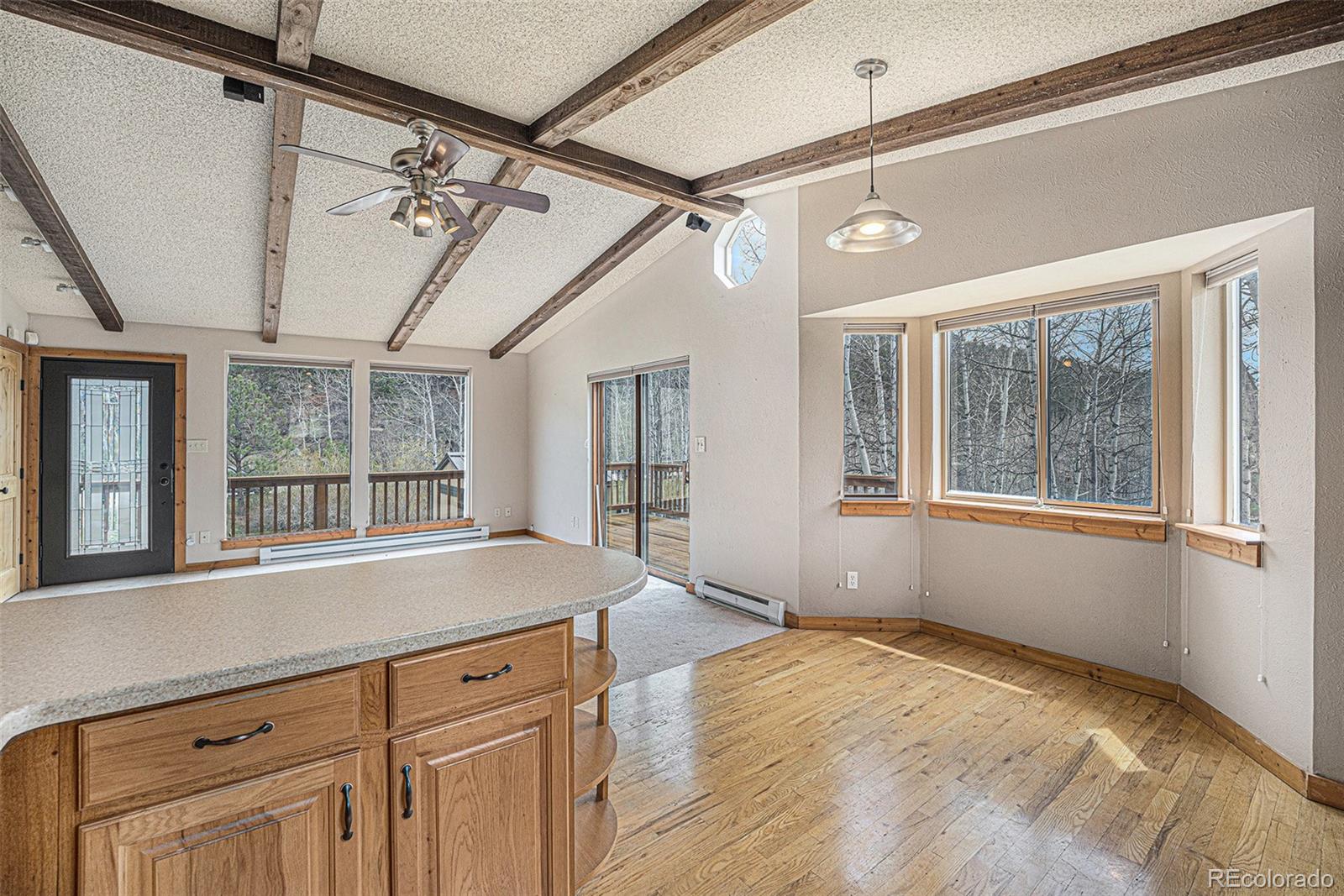 MLS Image #6 for 70  silver springs road ,bailey, Colorado