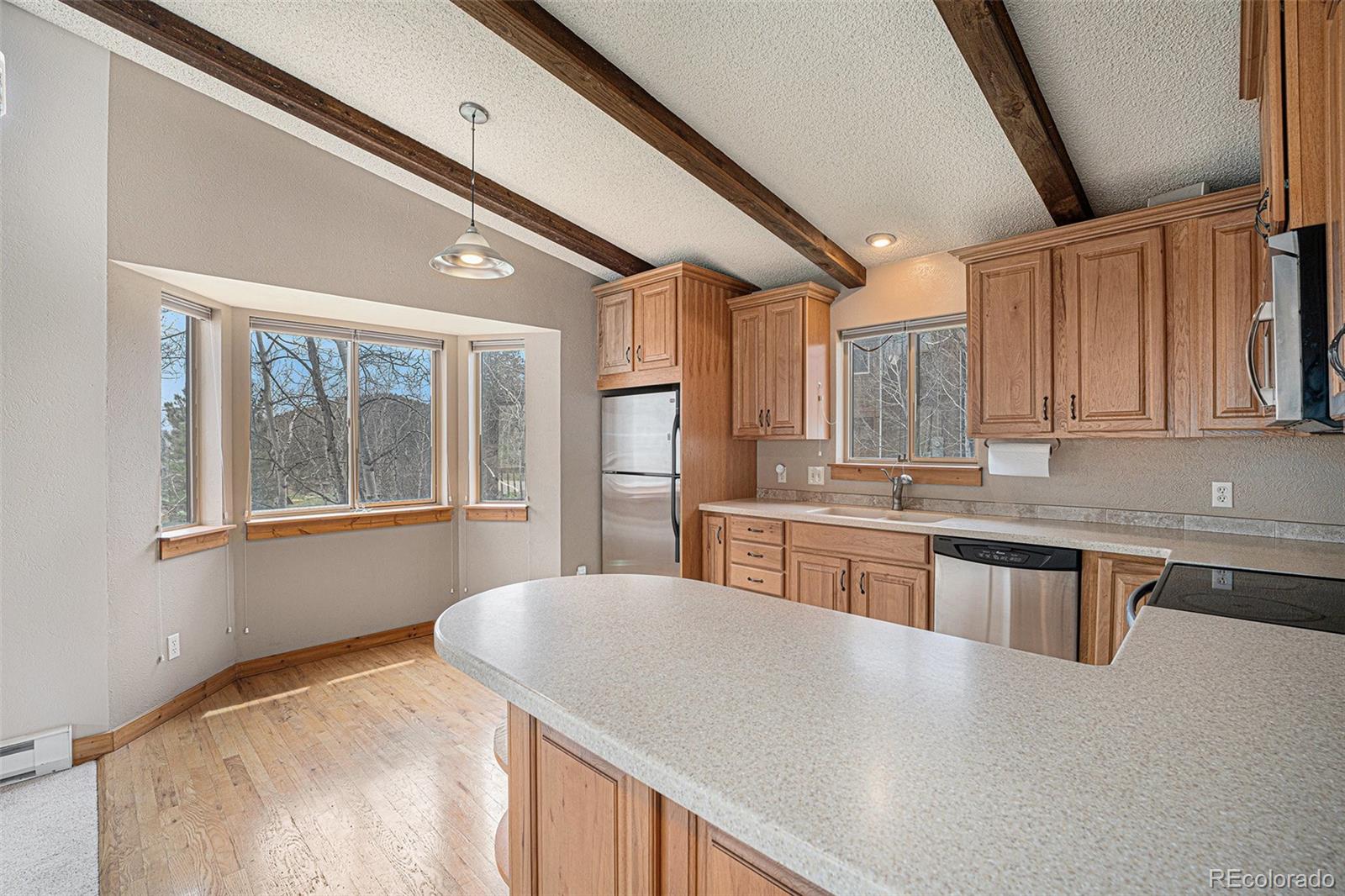 MLS Image #7 for 70  silver springs road ,bailey, Colorado