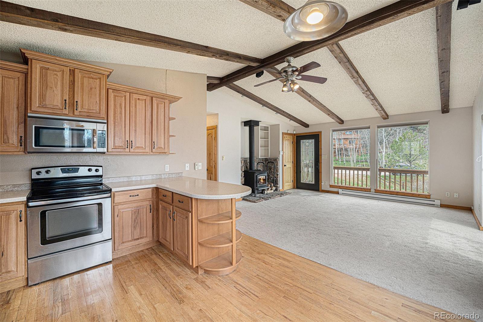 MLS Image #8 for 70  silver springs road ,bailey, Colorado