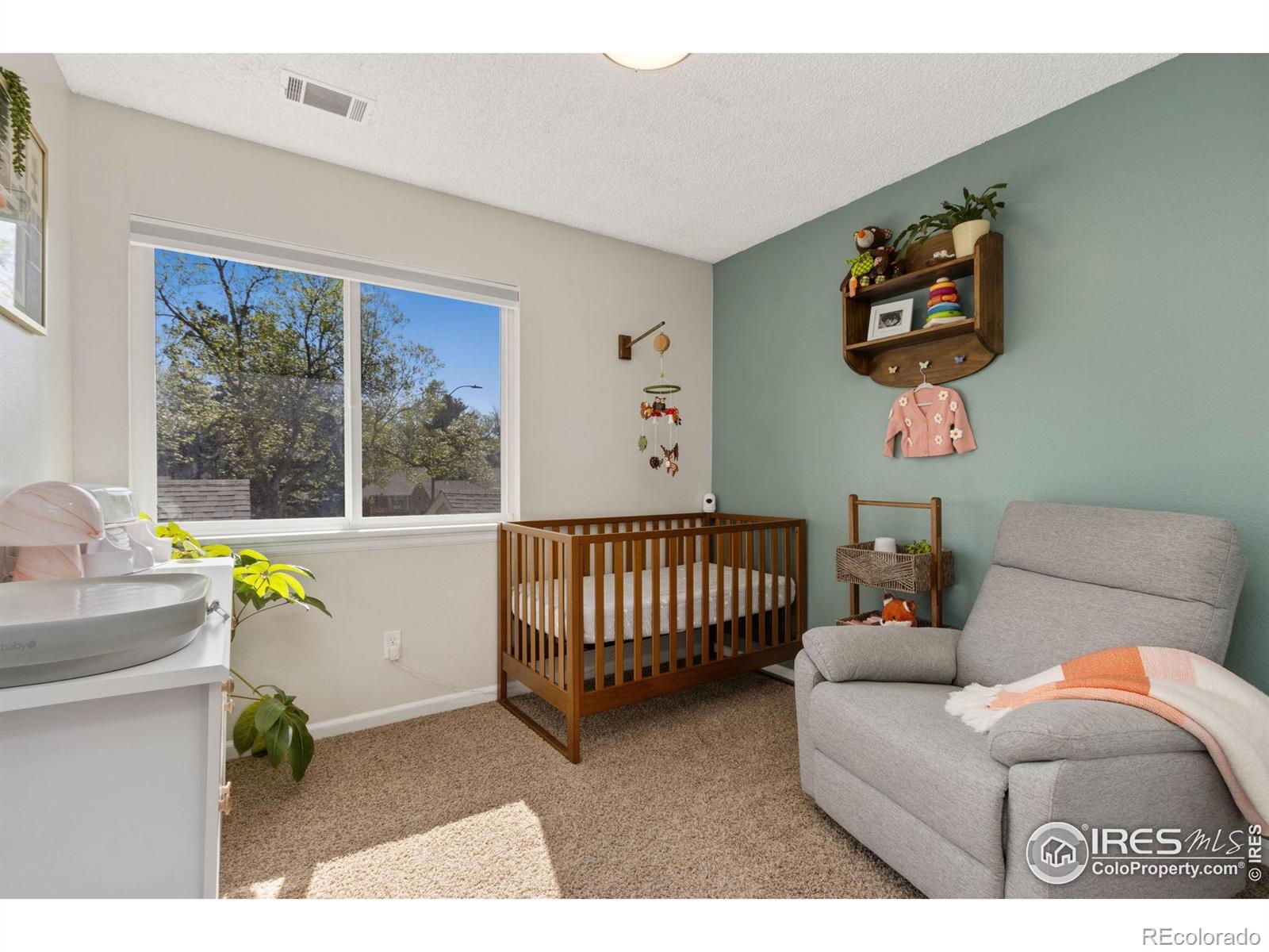MLS Image #16 for 3109  swallow place,fort collins, Colorado