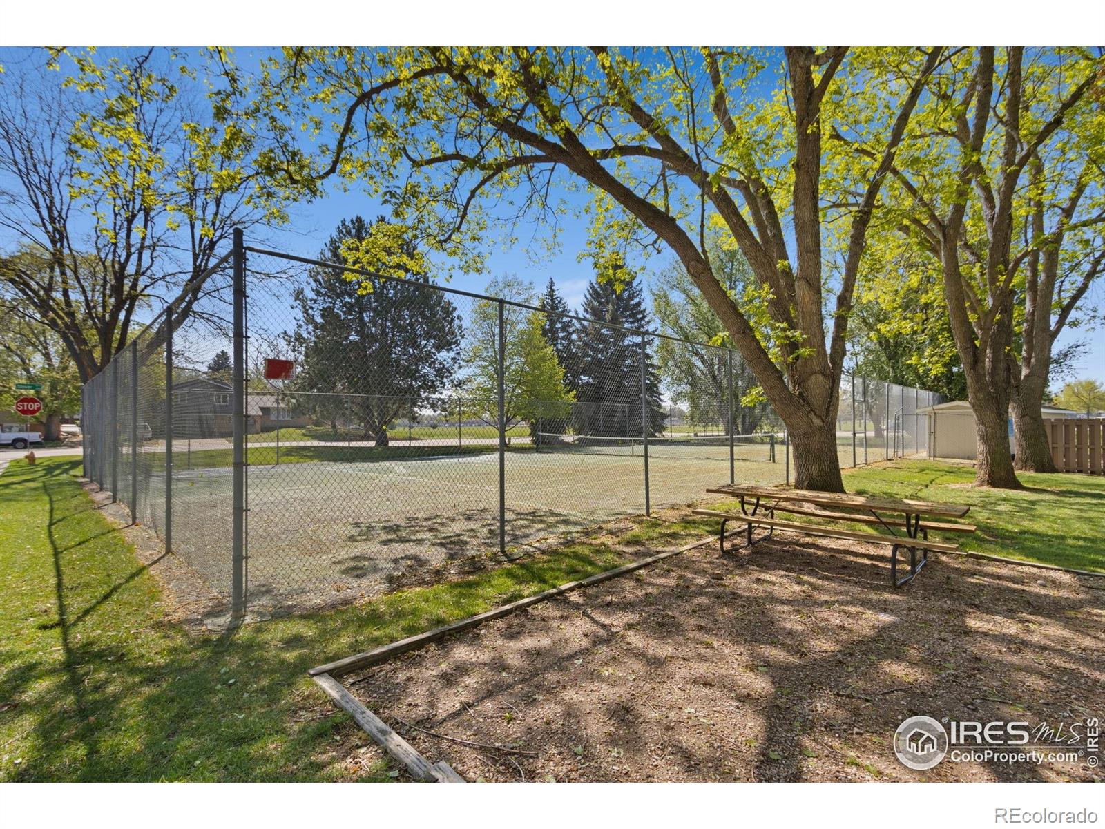 MLS Image #29 for 3109  swallow place,fort collins, Colorado