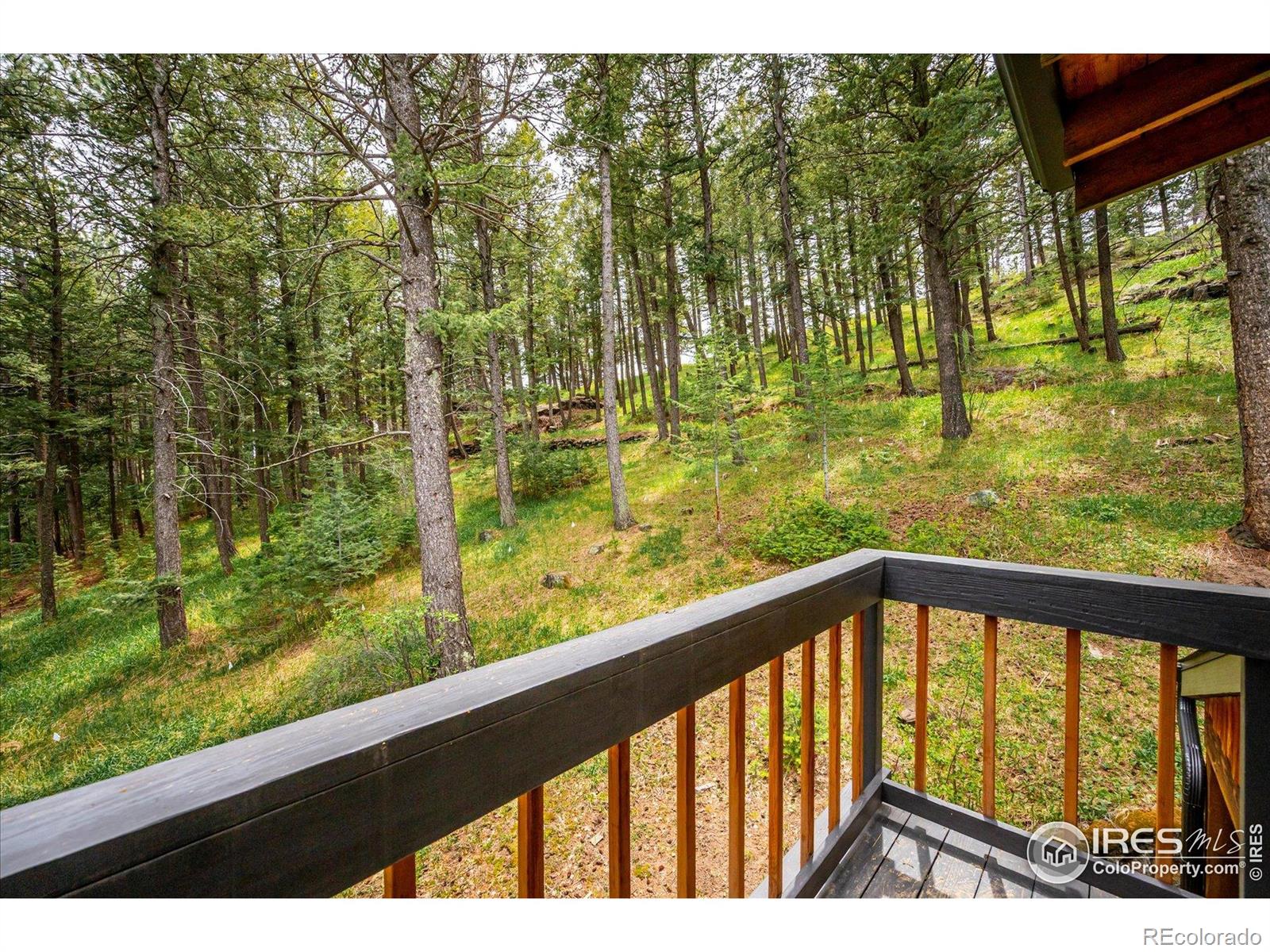 MLS Image #19 for 25808  sunrise lane,golden, Colorado