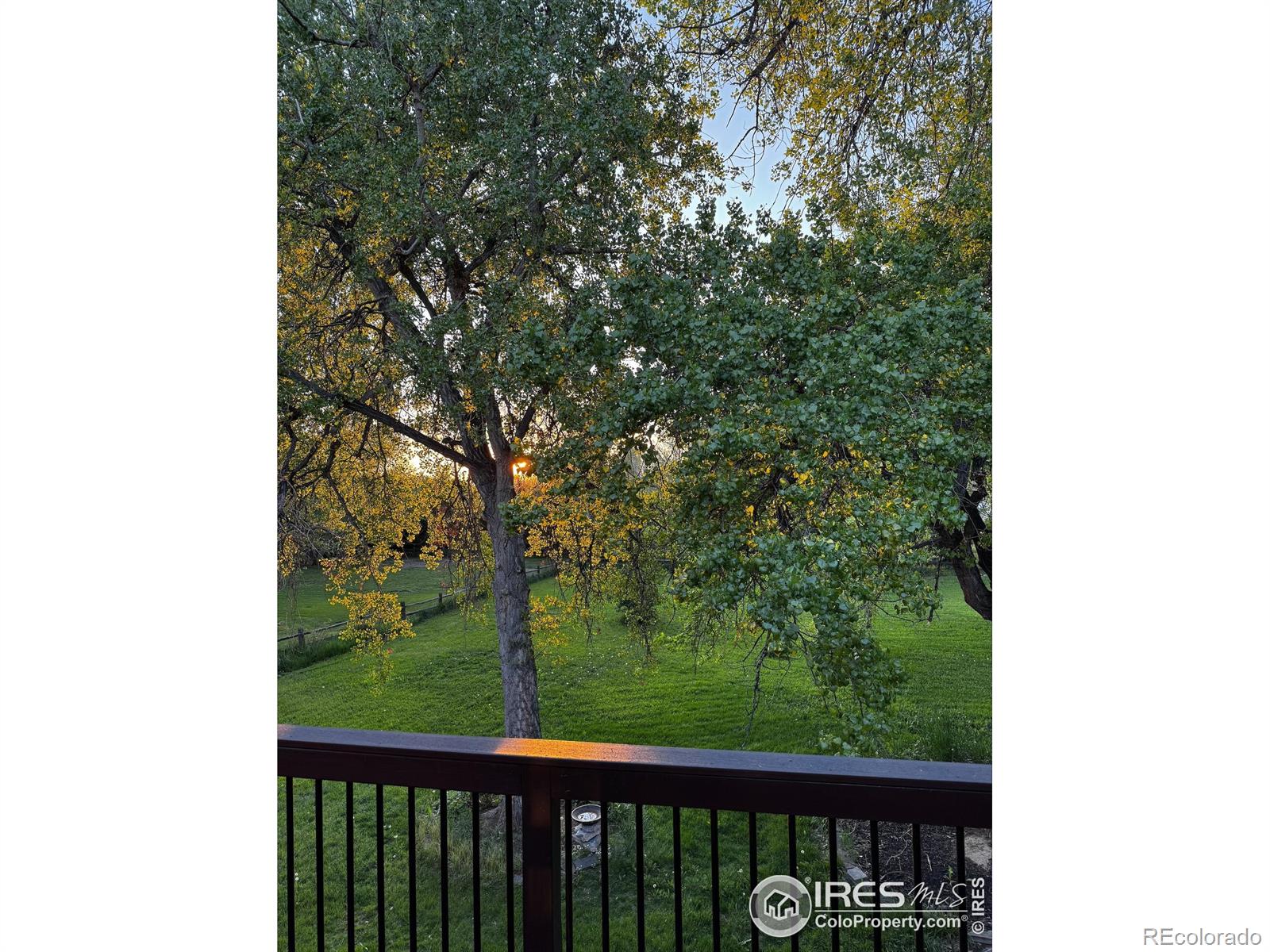 MLS Image #11 for 7528  estate circle,niwot, Colorado