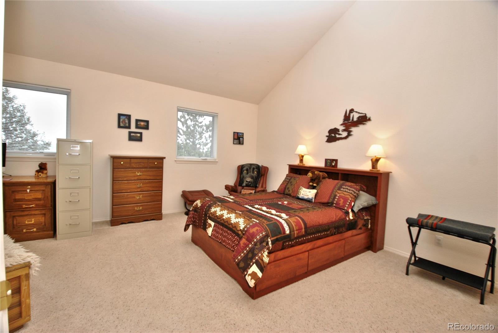 MLS Image #25 for 319  summit road,woodland park, Colorado