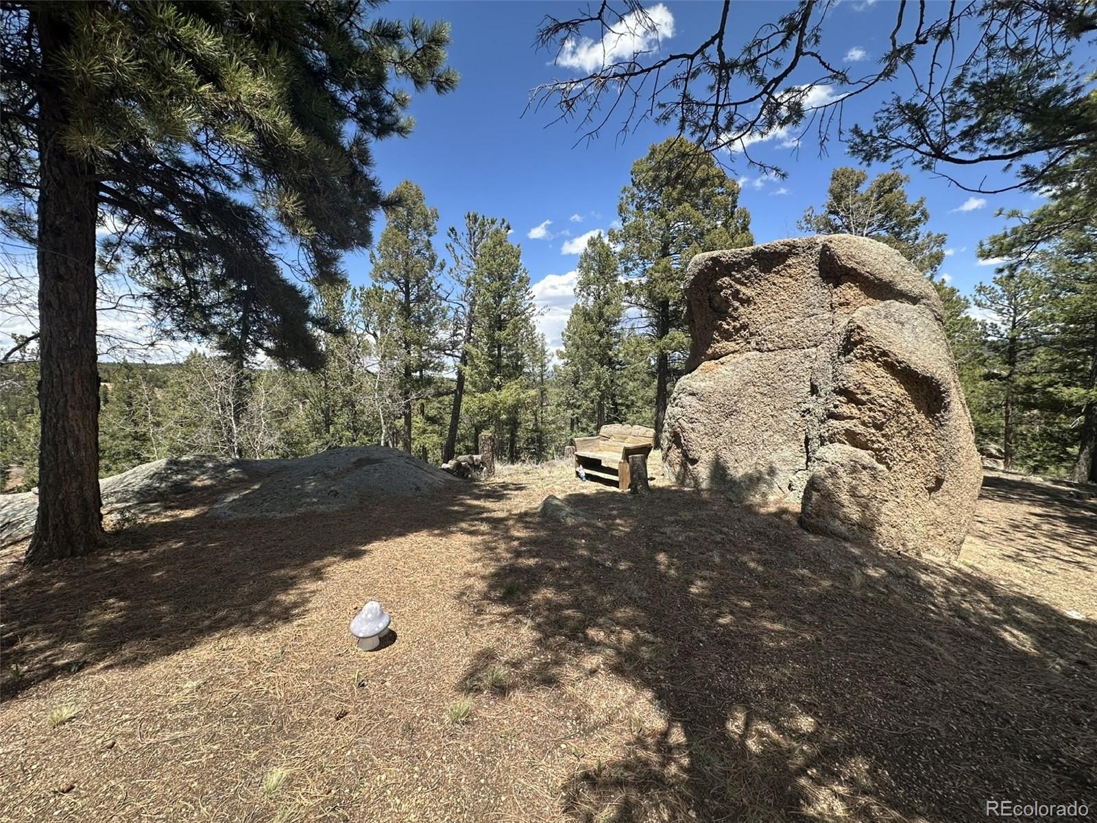 MLS Image #3 for 319  summit road,woodland park, Colorado