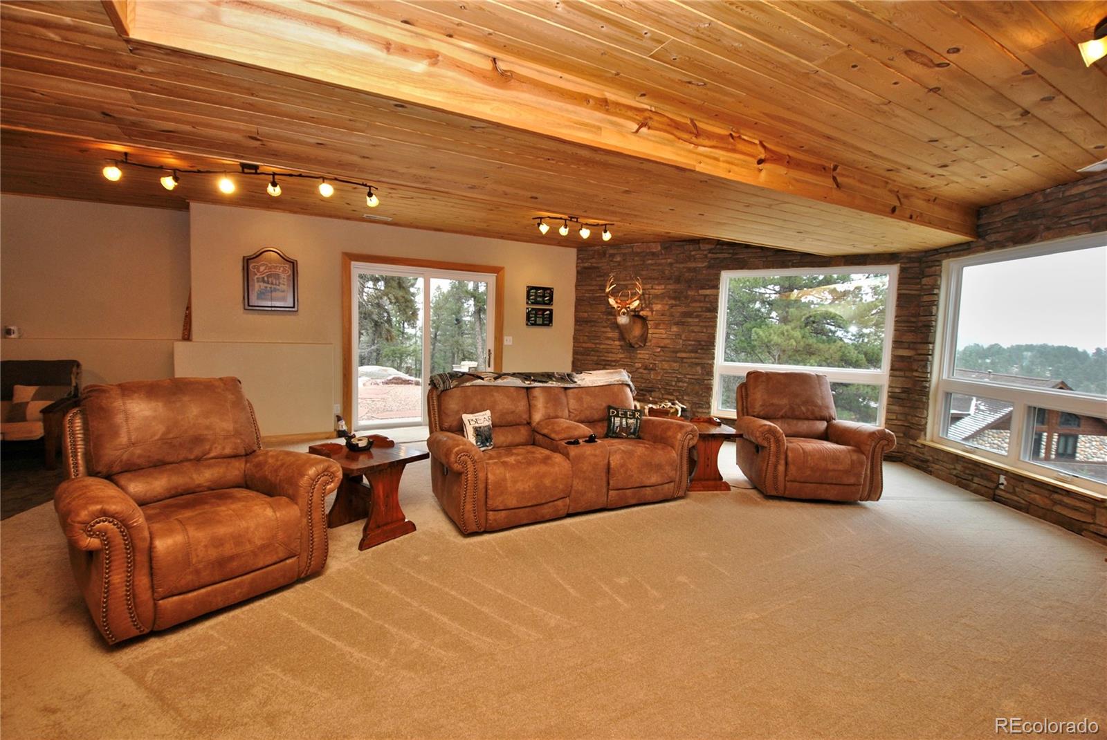 MLS Image #34 for 319  summit road,woodland park, Colorado