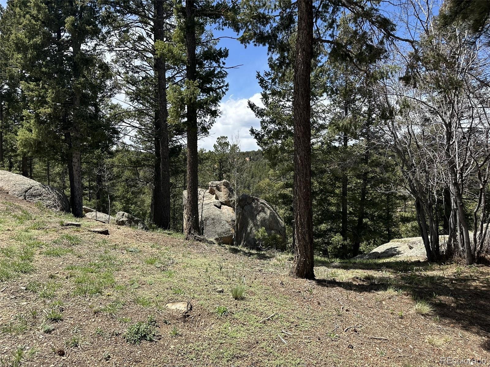 MLS Image #4 for 319  summit road,woodland park, Colorado