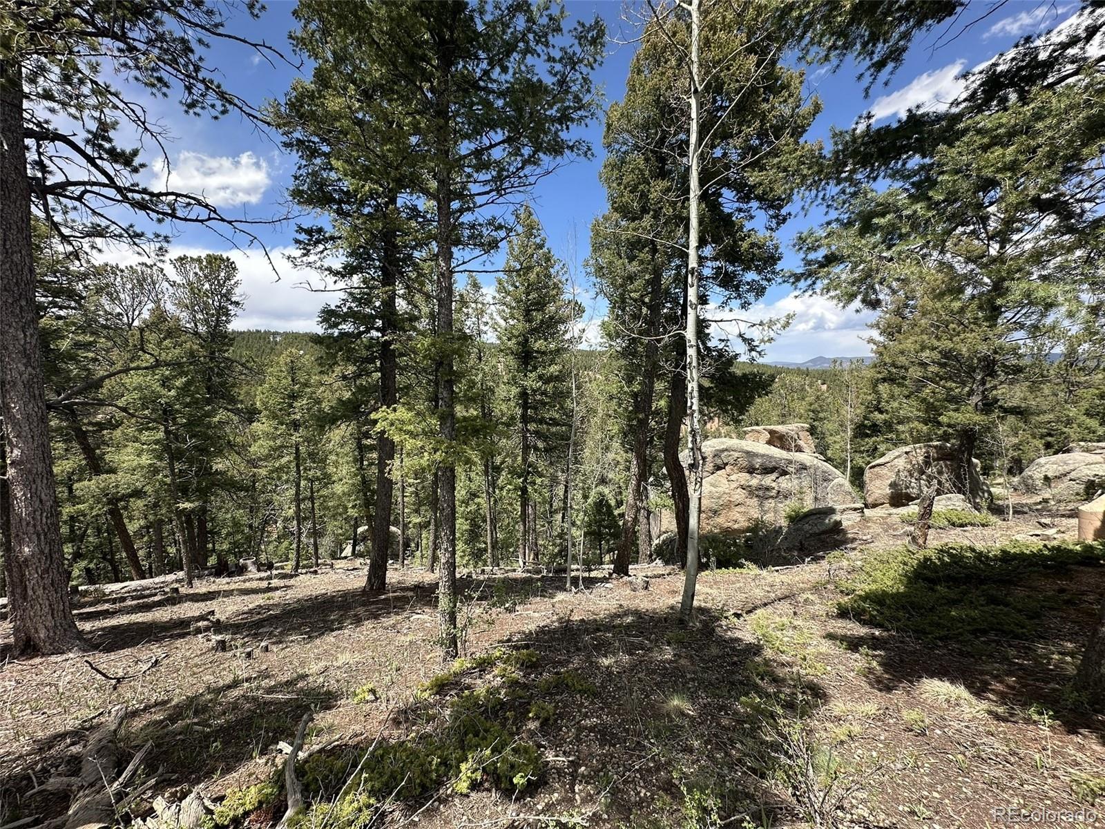 MLS Image #41 for 319  summit road,woodland park, Colorado