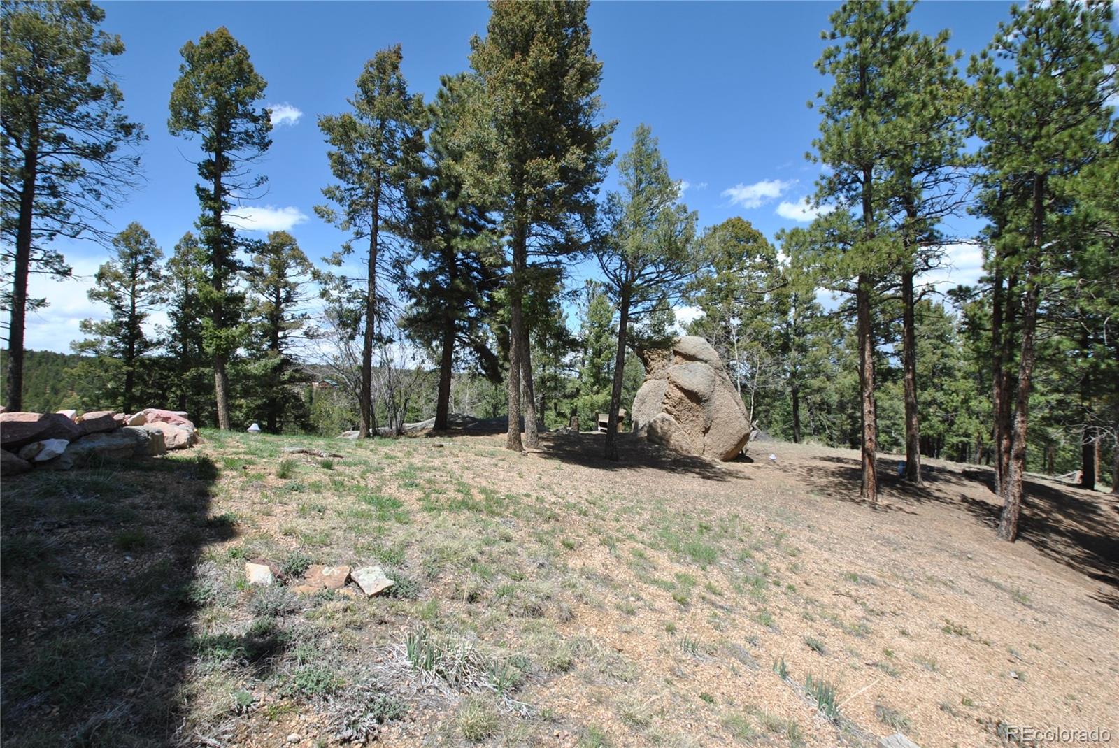 MLS Image #42 for 319  summit road,woodland park, Colorado