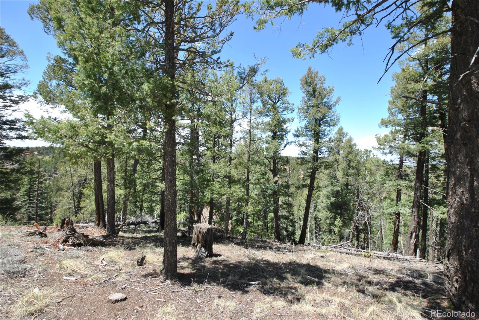 MLS Image #43 for 319  summit road,woodland park, Colorado