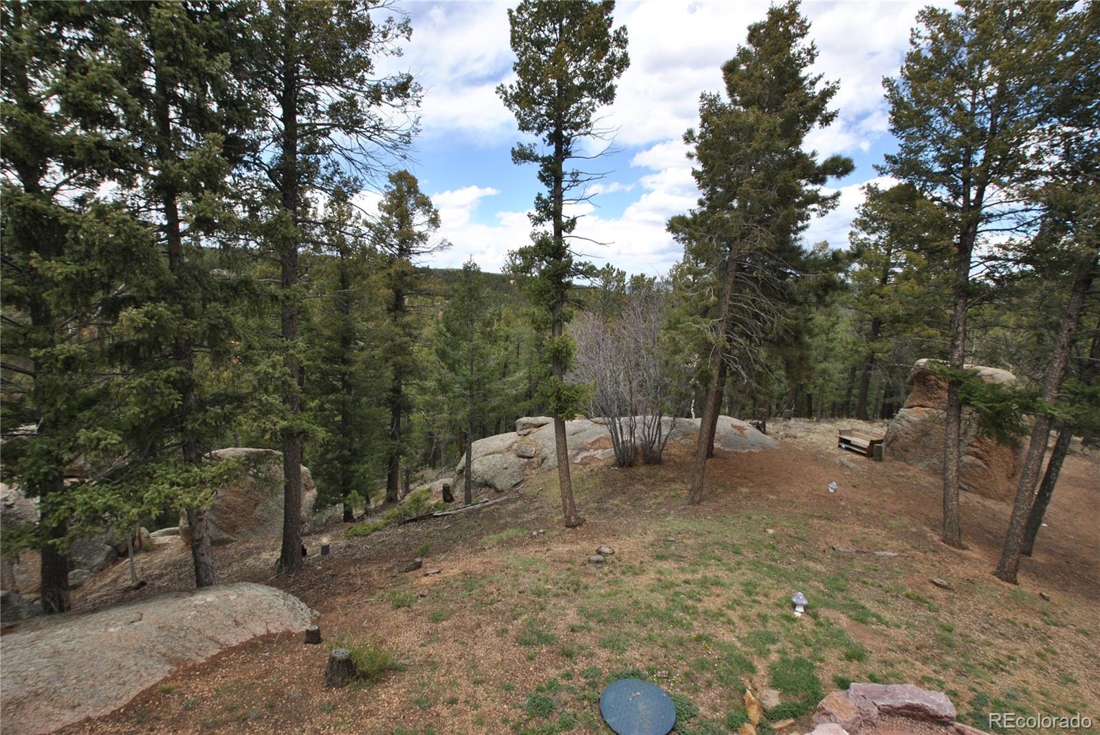 MLS Image #47 for 319  summit road,woodland park, Colorado