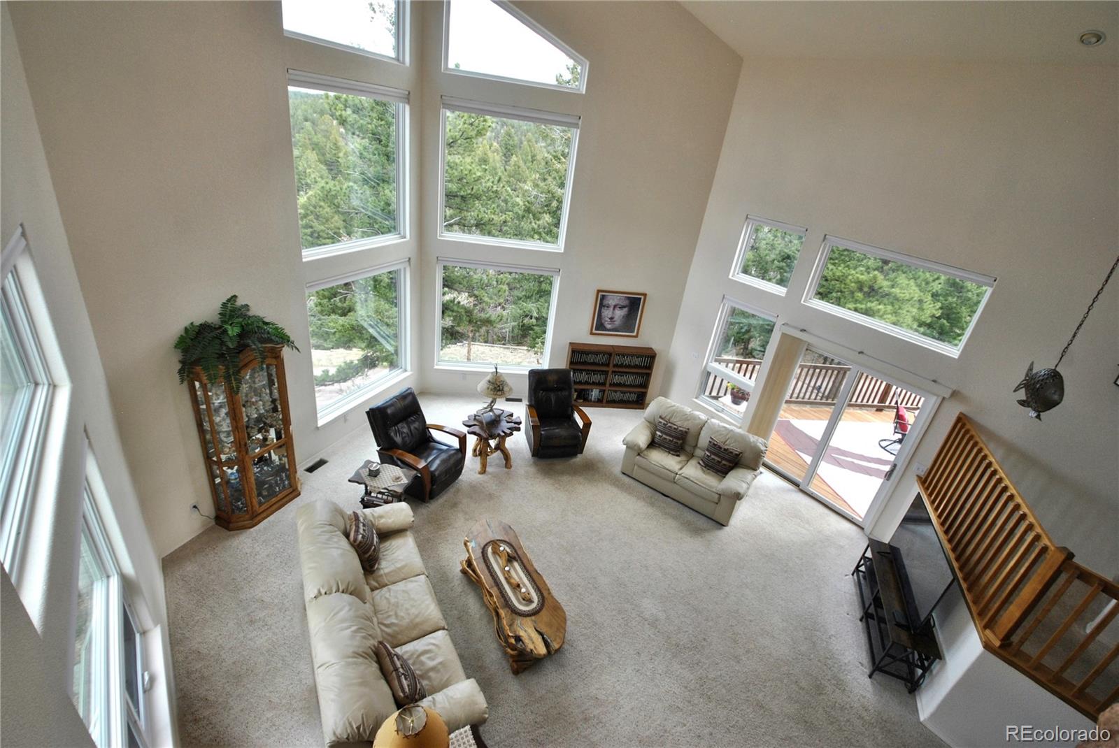 MLS Image #8 for 319  summit road,woodland park, Colorado