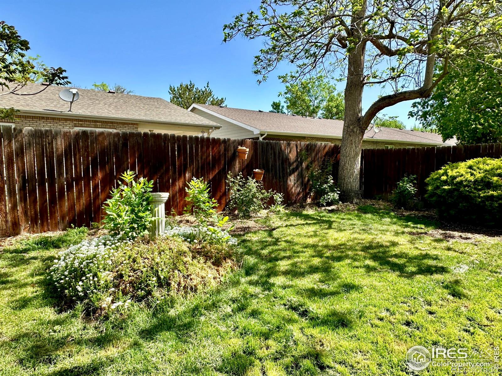 MLS Image #15 for 1649 e 17th street,loveland, Colorado