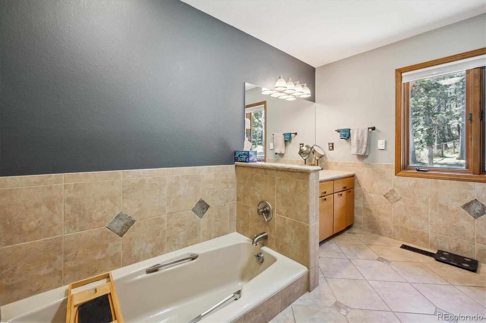 MLS Image #11 for 25357  snyder avenue,conifer, Colorado