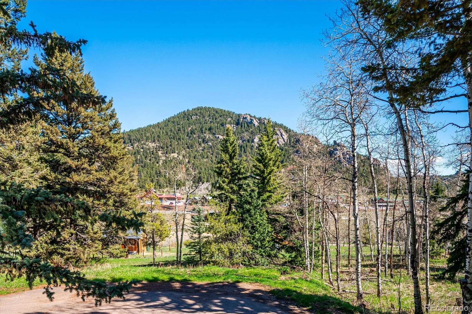 MLS Image #26 for 25357  snyder avenue,conifer, Colorado