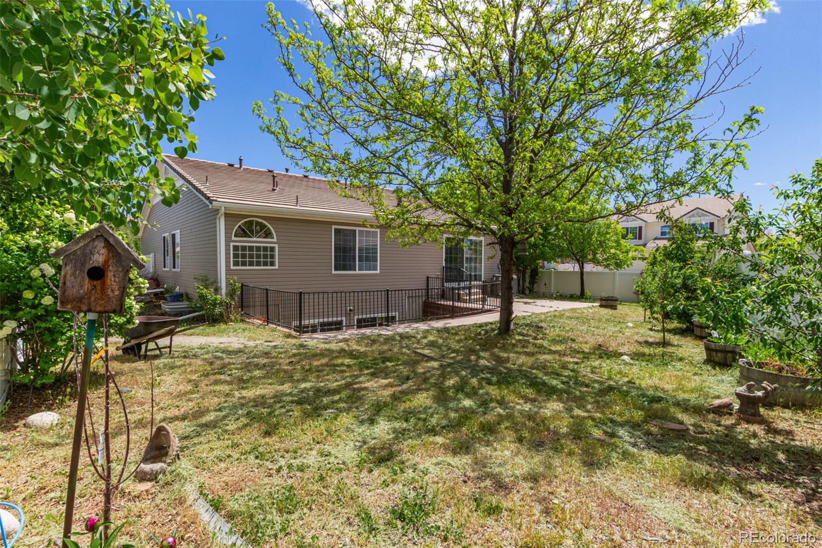 MLS Image #36 for 5403  odessa street,denver, Colorado