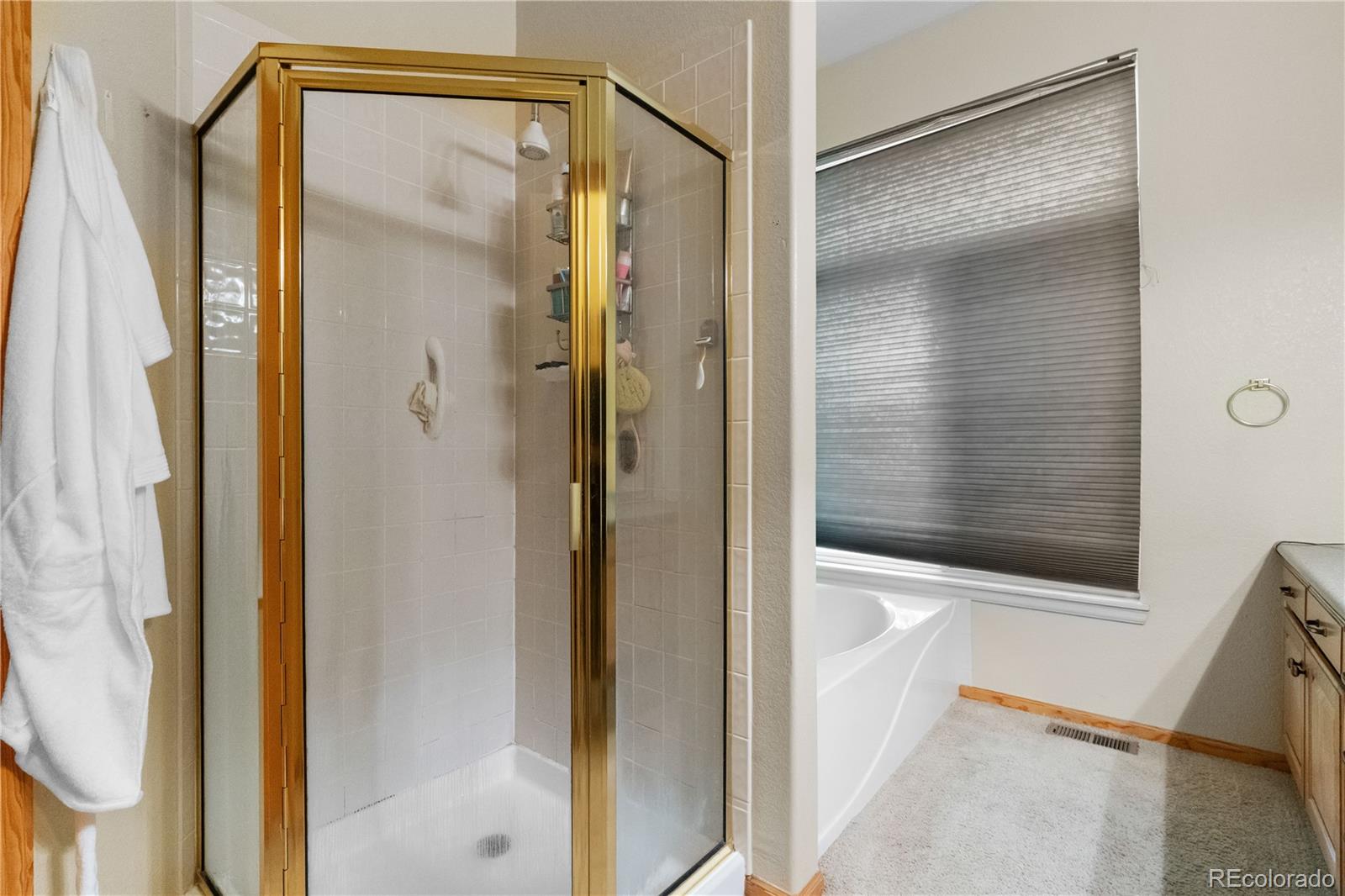 MLS Image #19 for 4290 s deframe street,morrison, Colorado