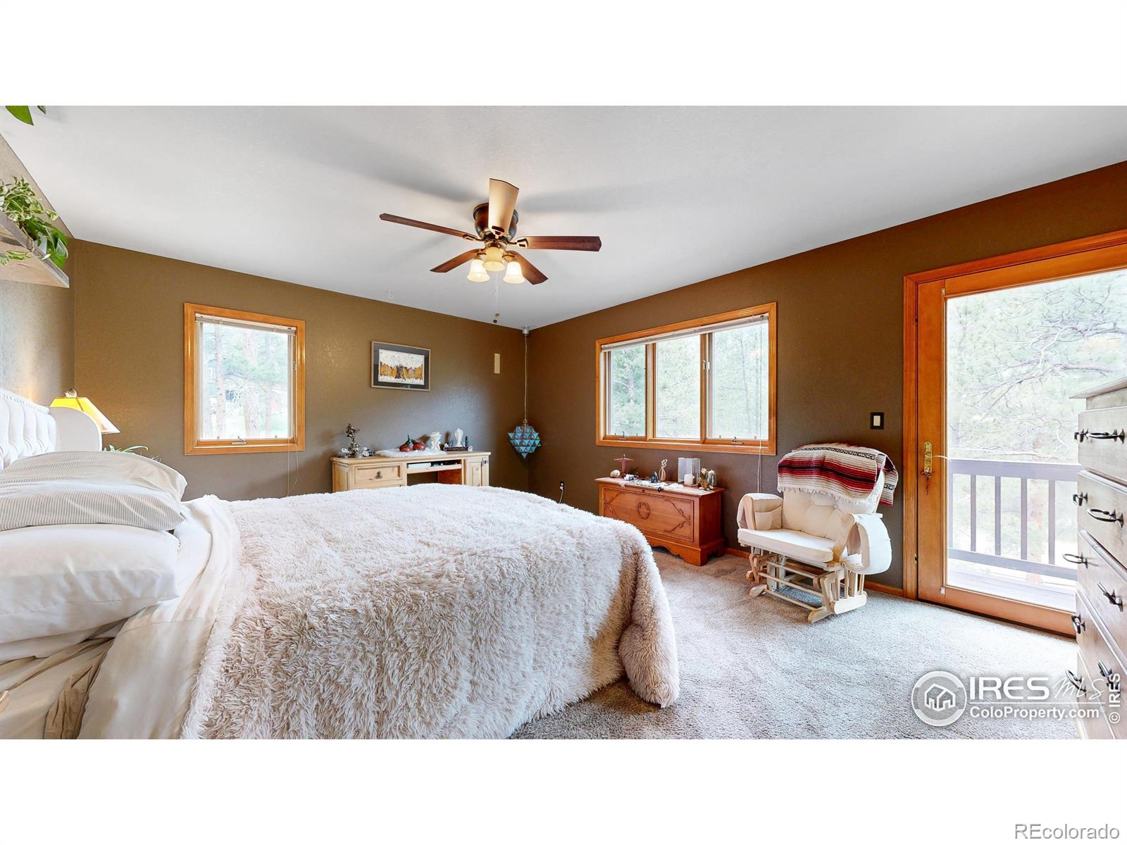MLS Image #10 for 287  wichita road,lyons, Colorado