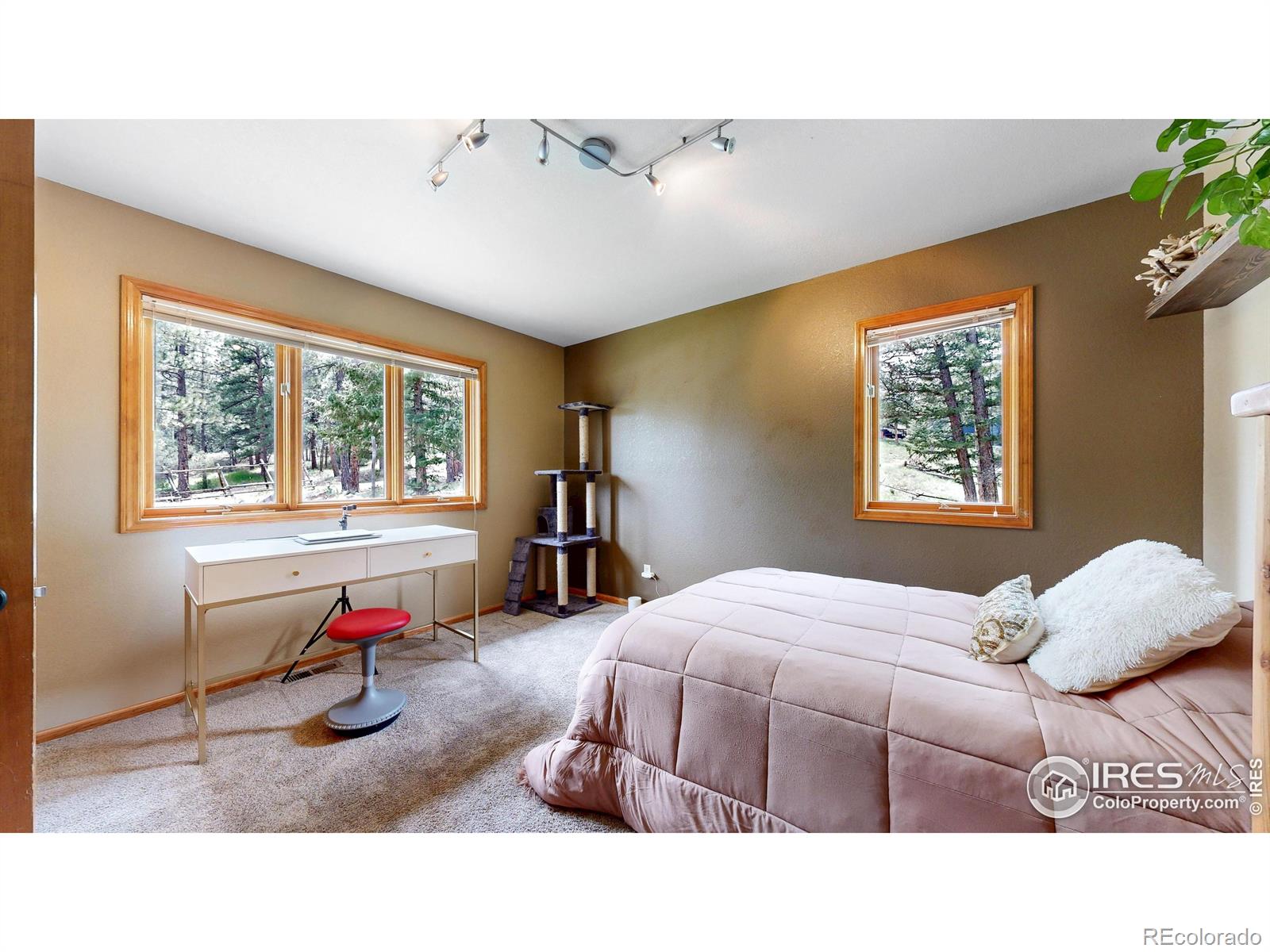 MLS Image #13 for 287  wichita road,lyons, Colorado