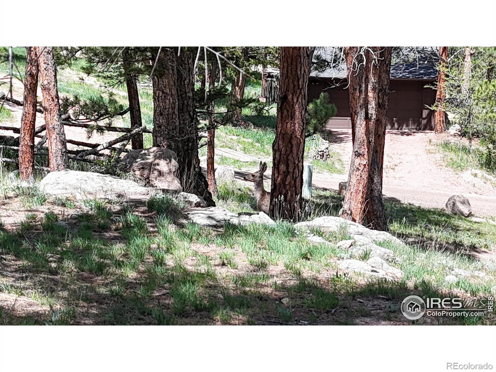 MLS Image #32 for 287  wichita road,lyons, Colorado