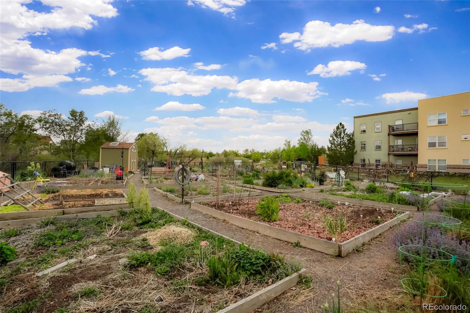MLS Image #27 for 7777 e 23rd avenue,denver, Colorado