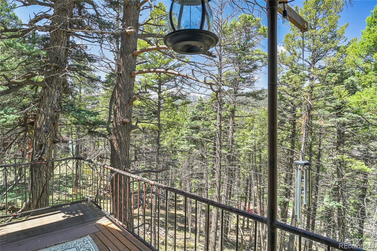 MLS Image #39 for 567  hill road,cuchara, Colorado
