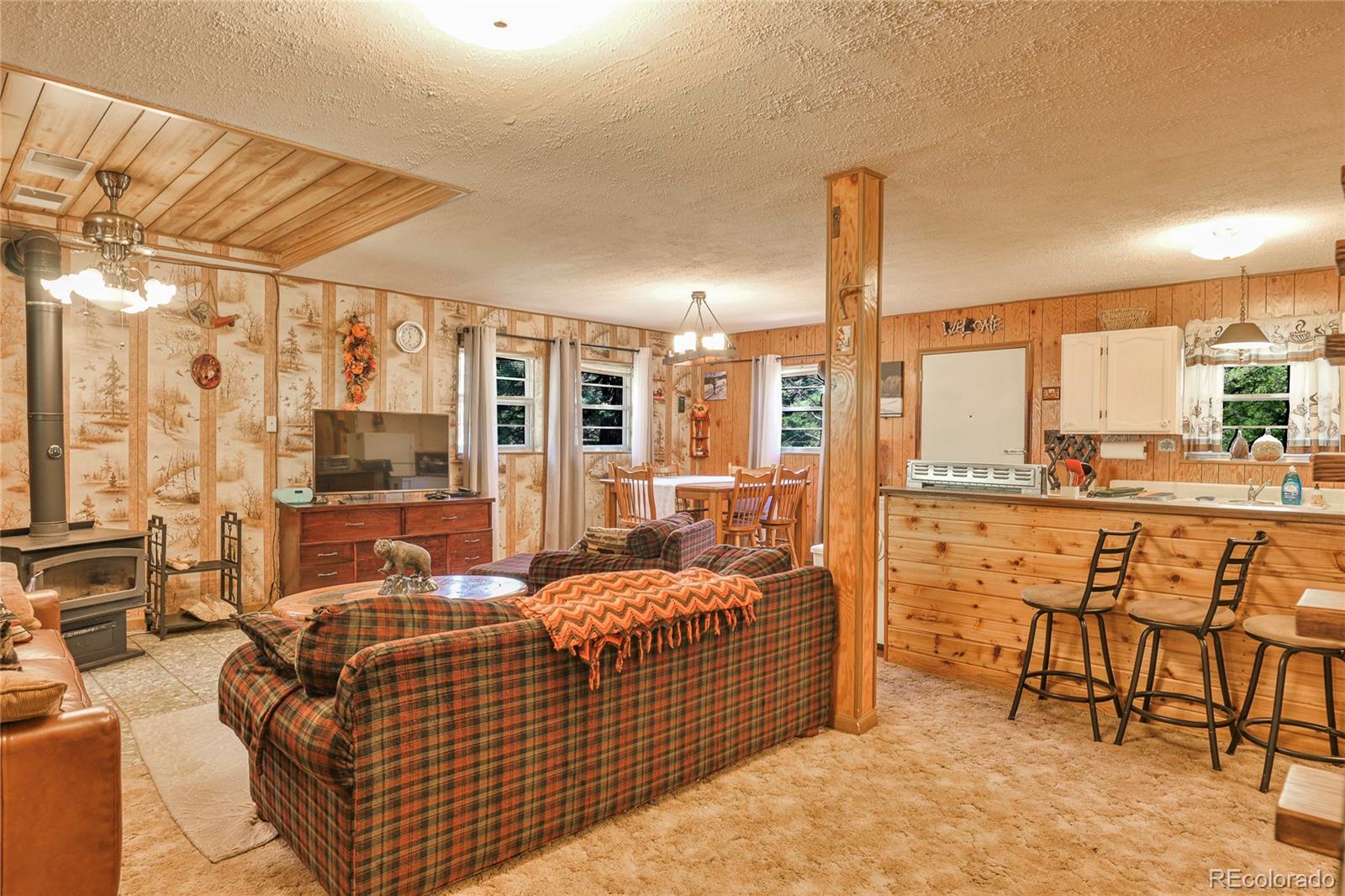 MLS Image #4 for 567  hill road,cuchara, Colorado