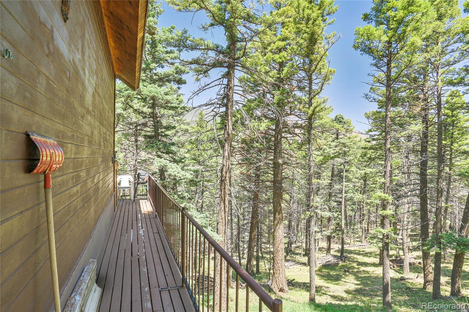 MLS Image #41 for 567  hill road,cuchara, Colorado