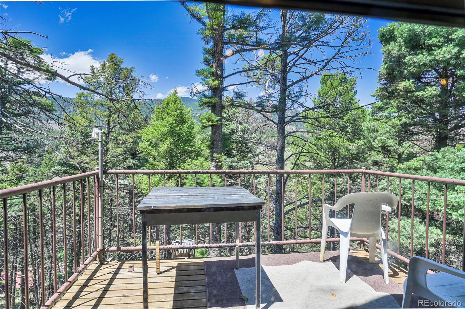 MLS Image #46 for 567  hill road,cuchara, Colorado